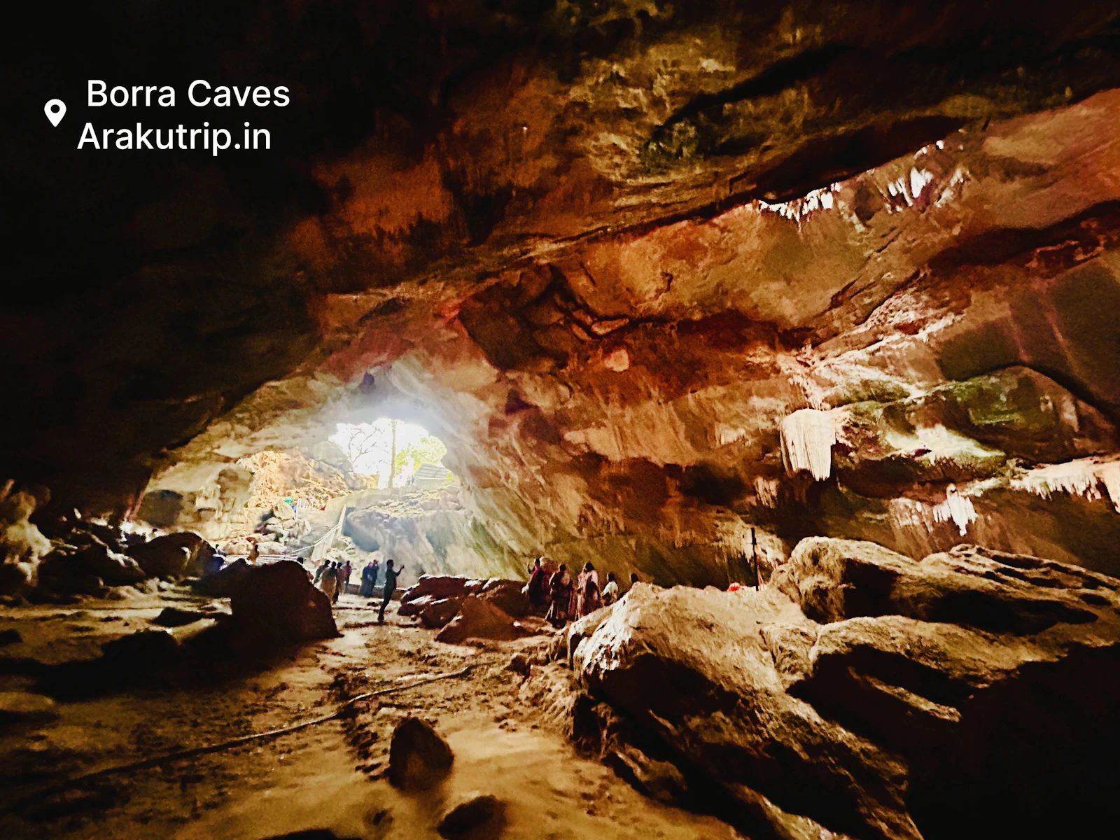 ArakuTrip screenshot 5