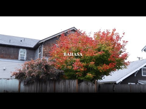 spf.io gallery image