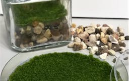 DIY fragrant moss kit media 3