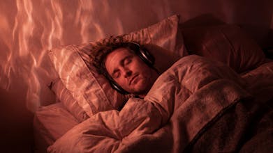 Somnolent gallery image