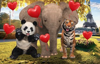 Animar gallery image