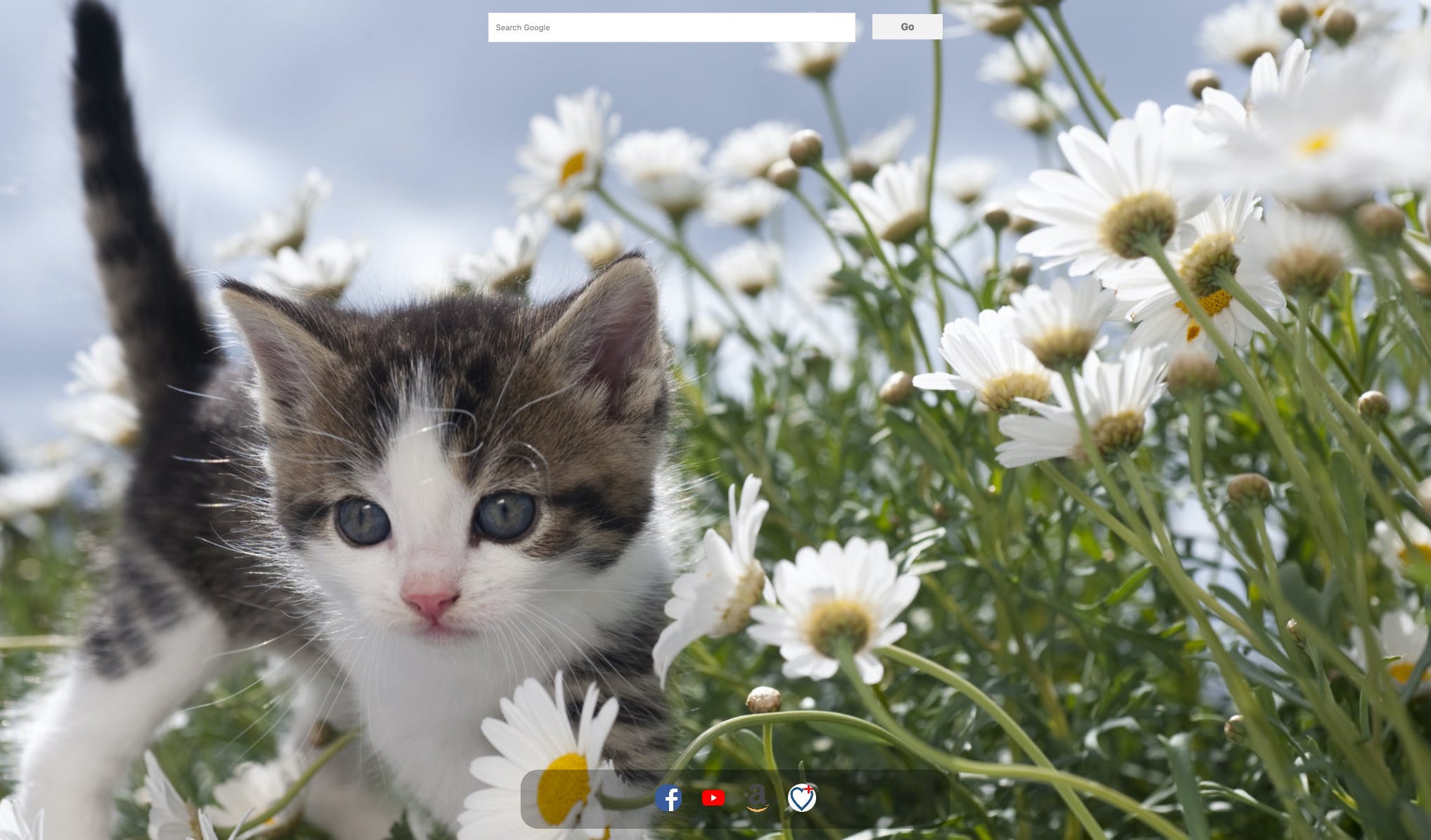 Cute Kitties New Tab Chrome Extension media 2