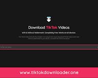 TikTok Downloader media 3
