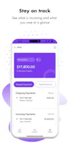 Payy Cashflow Tracker gallery image
