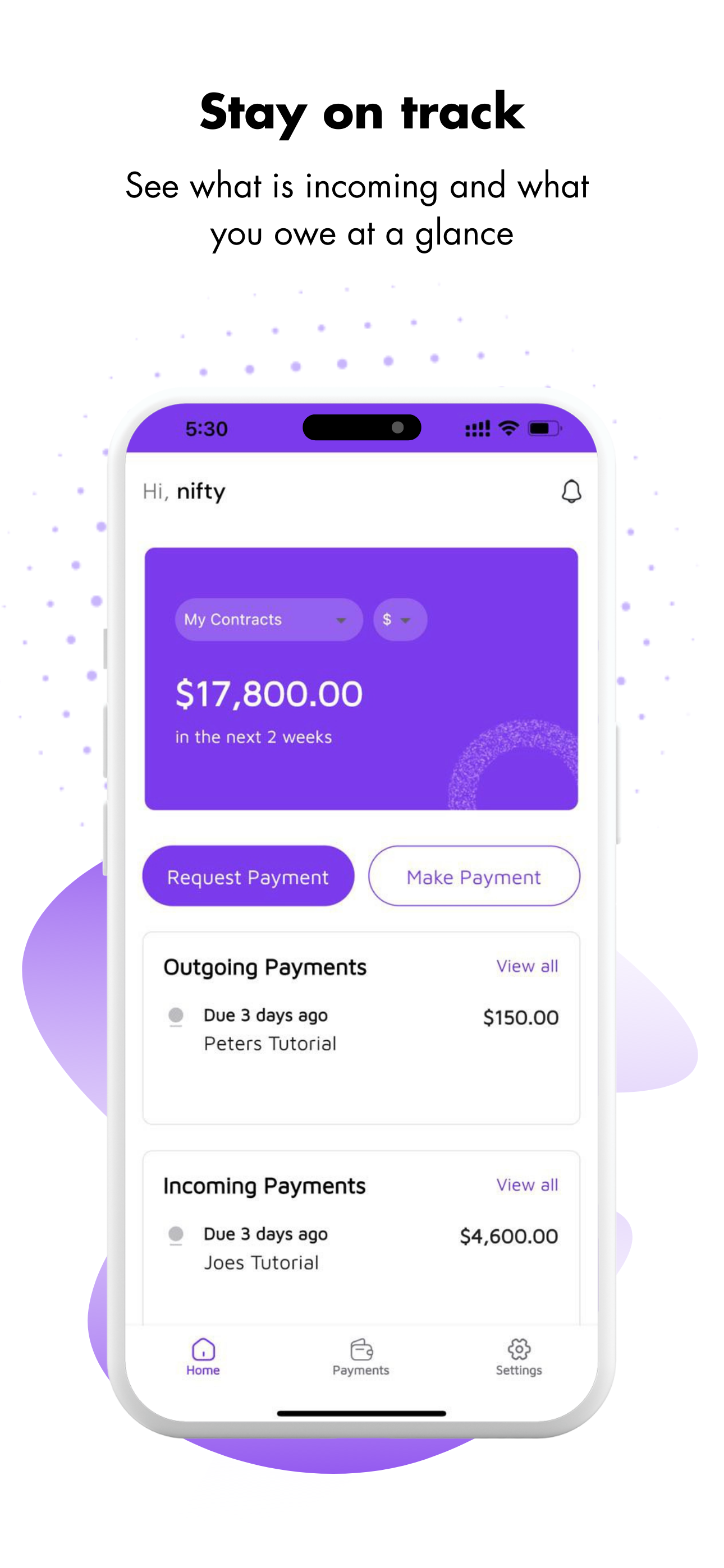 Payy Cashflow Tracker media 2