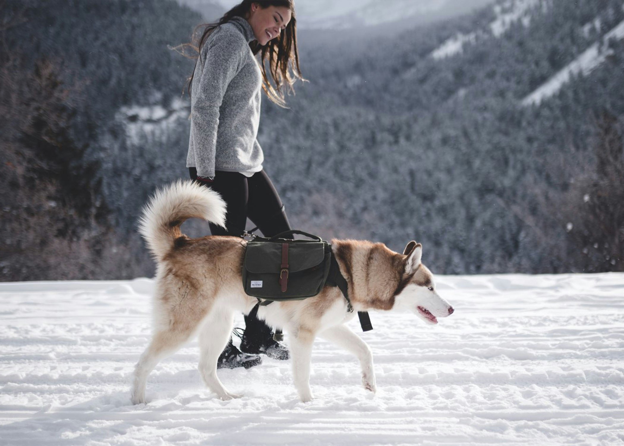 Wolf Republic Ranger Dog Backpack gallery image