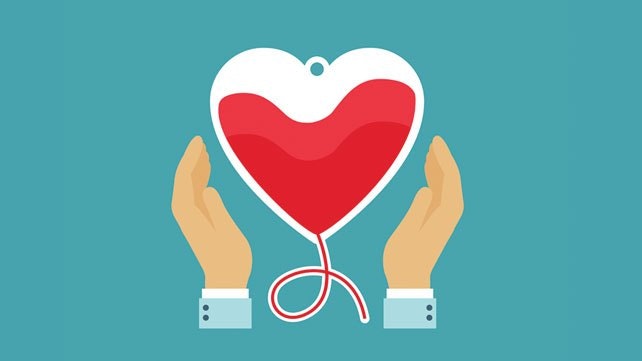 Donori.ge Blood Donation portal gallery image