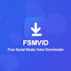 FSMVID