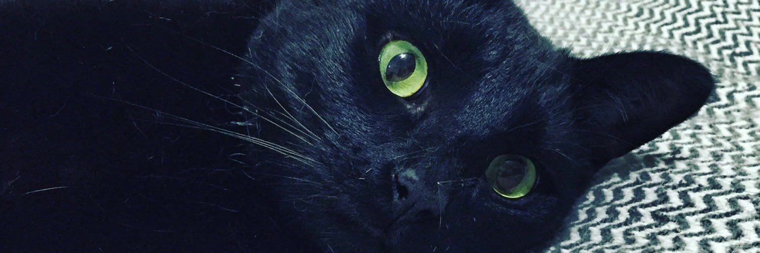 Alexandria Embleton cover