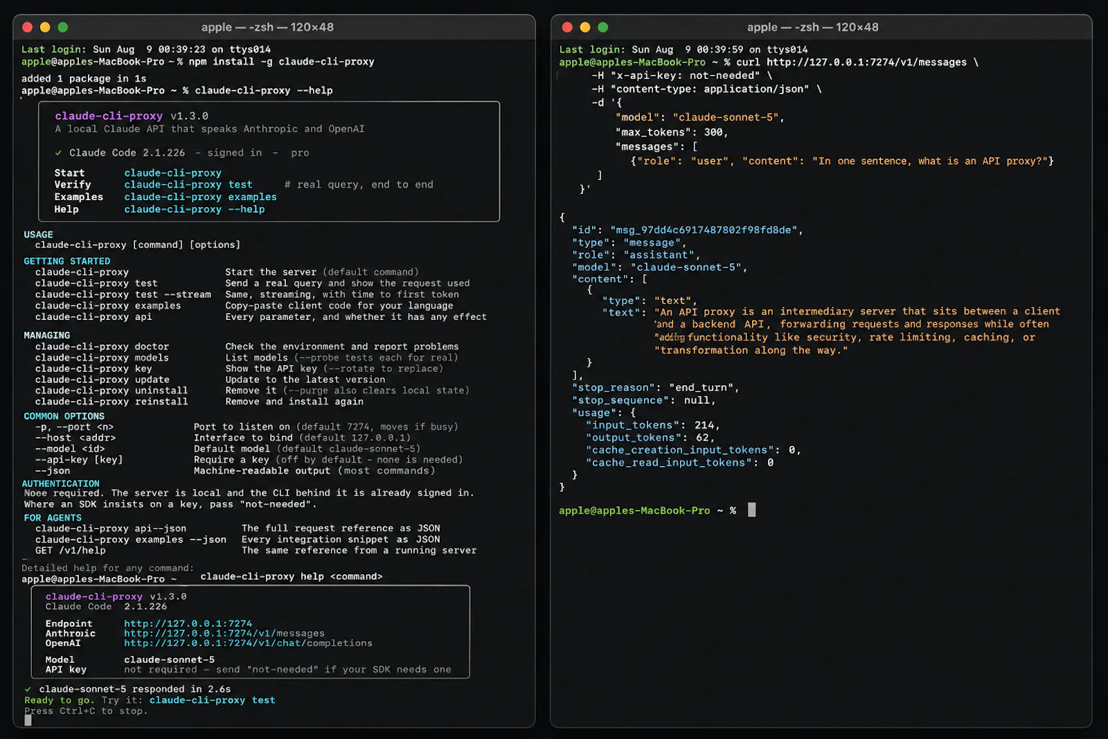 Claude CLI Proxy screenshot 3