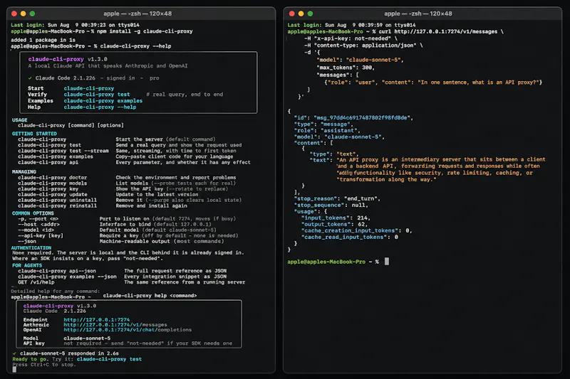 Claude CLI Proxy screenshot 3