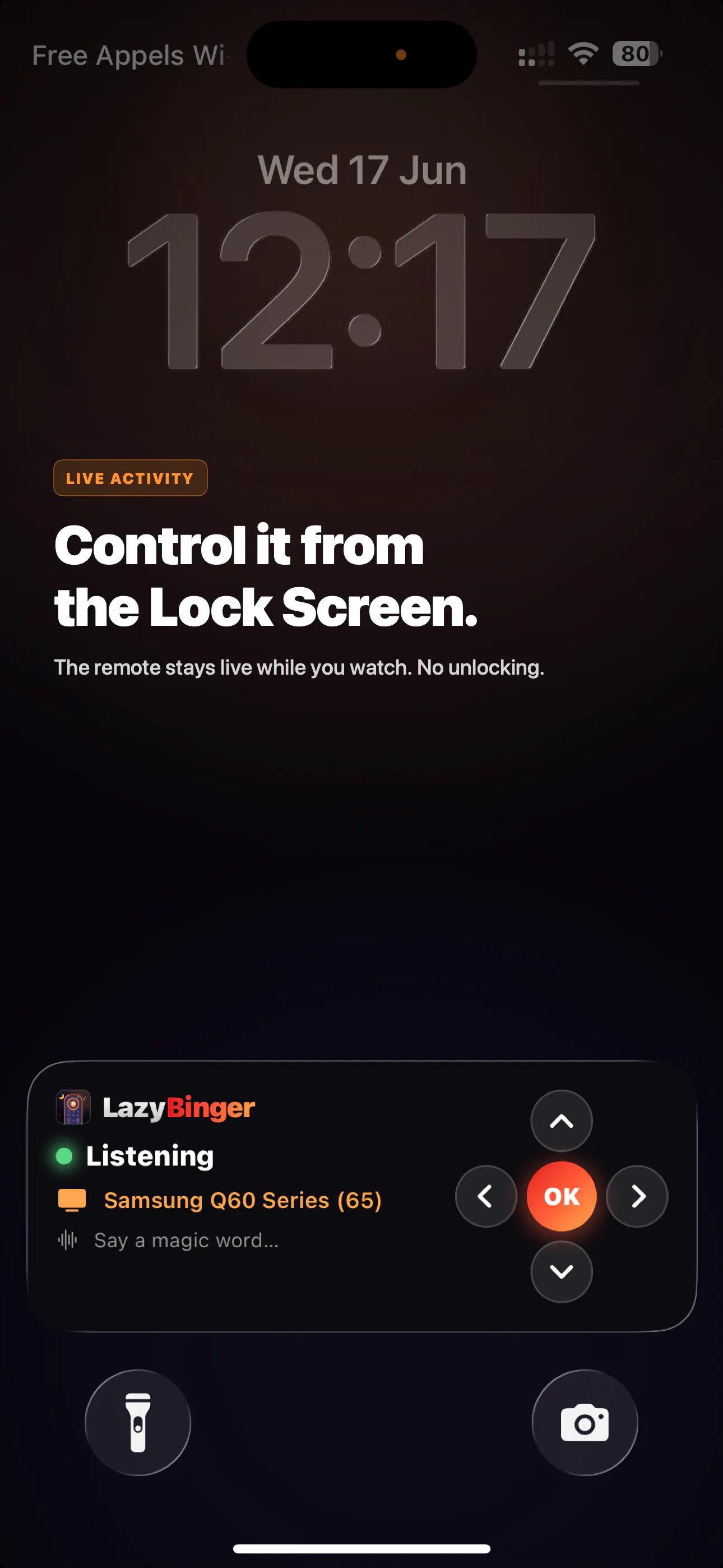 LazyBinger gallery image
