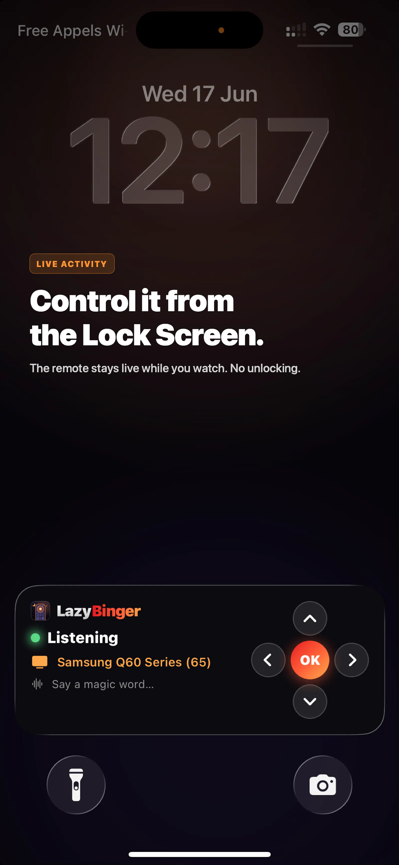 LazyBinger screenshot 6