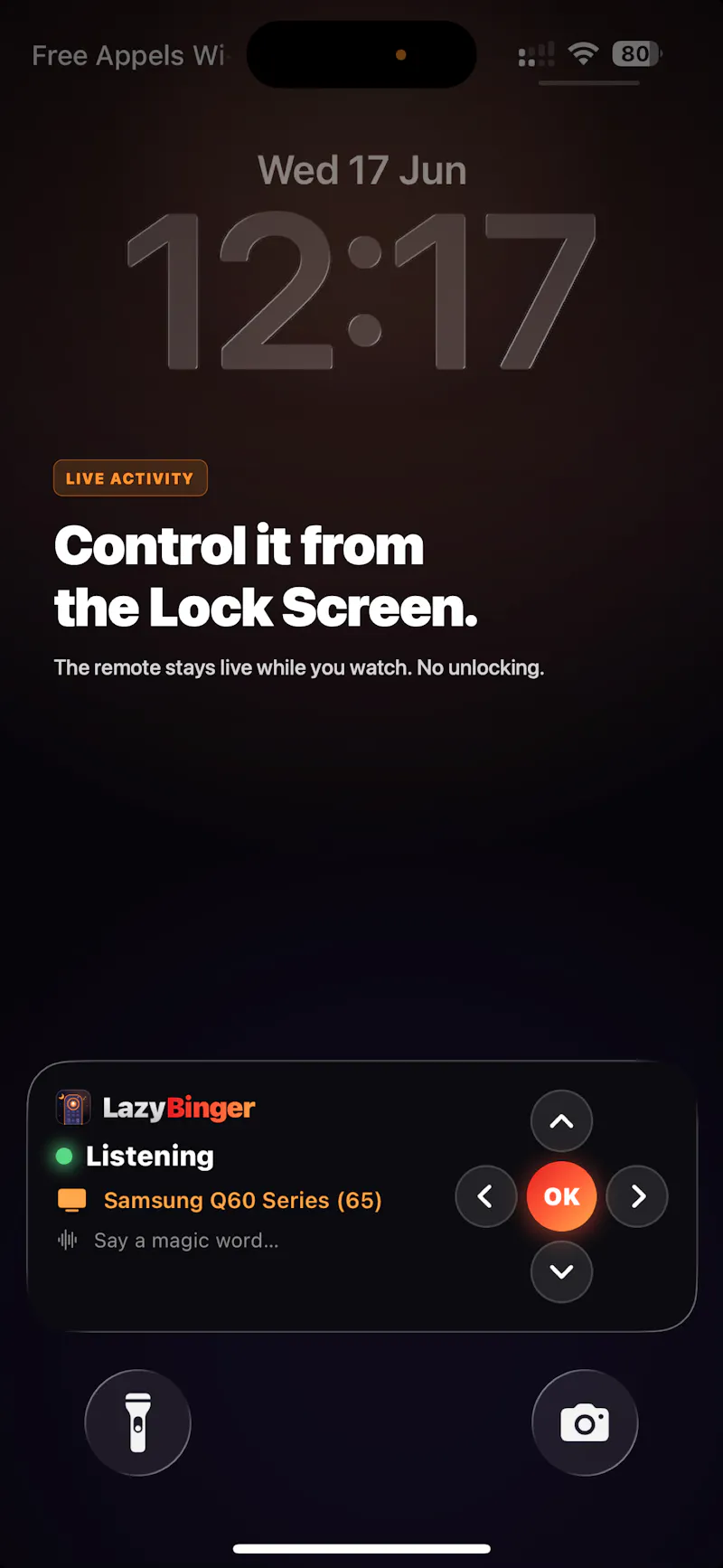 LazyBinger screenshot 6