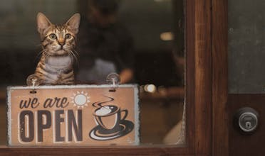 Cat Cafe Circle gallery image