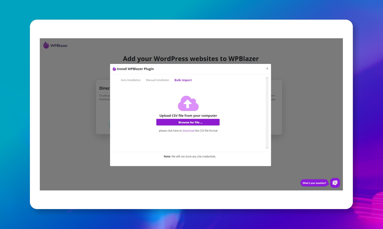 WP Blazer media 7