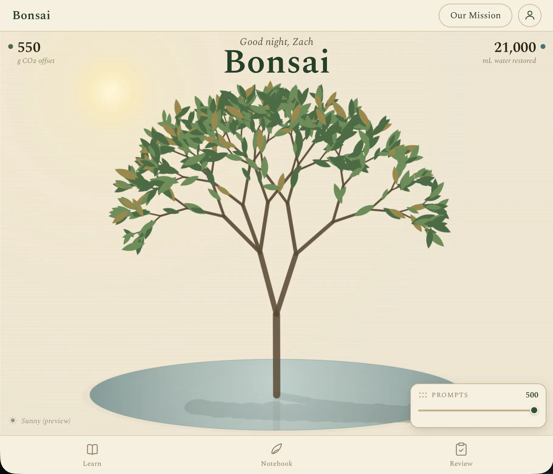 Bonsai gallery image