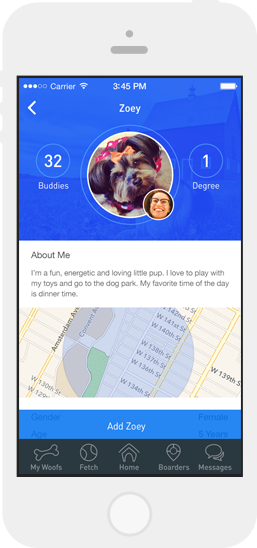 DoggyBnB gallery image