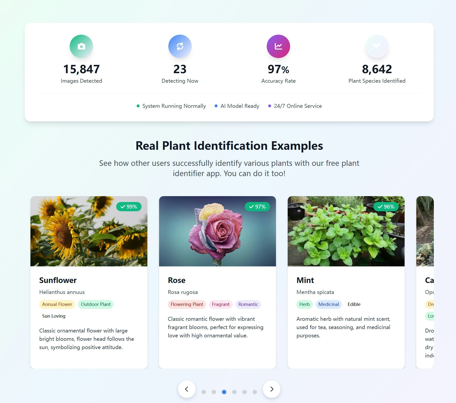 Plant App Identifier media 2