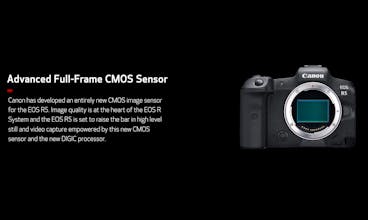 Canon EOS R5 gallery image