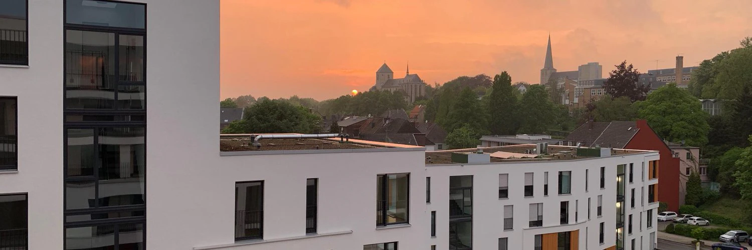 Sebastian Schlein cover