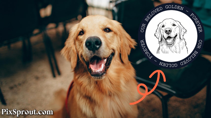 PixSprout – AI Stamp Maker - Main screenshot showing features and interface