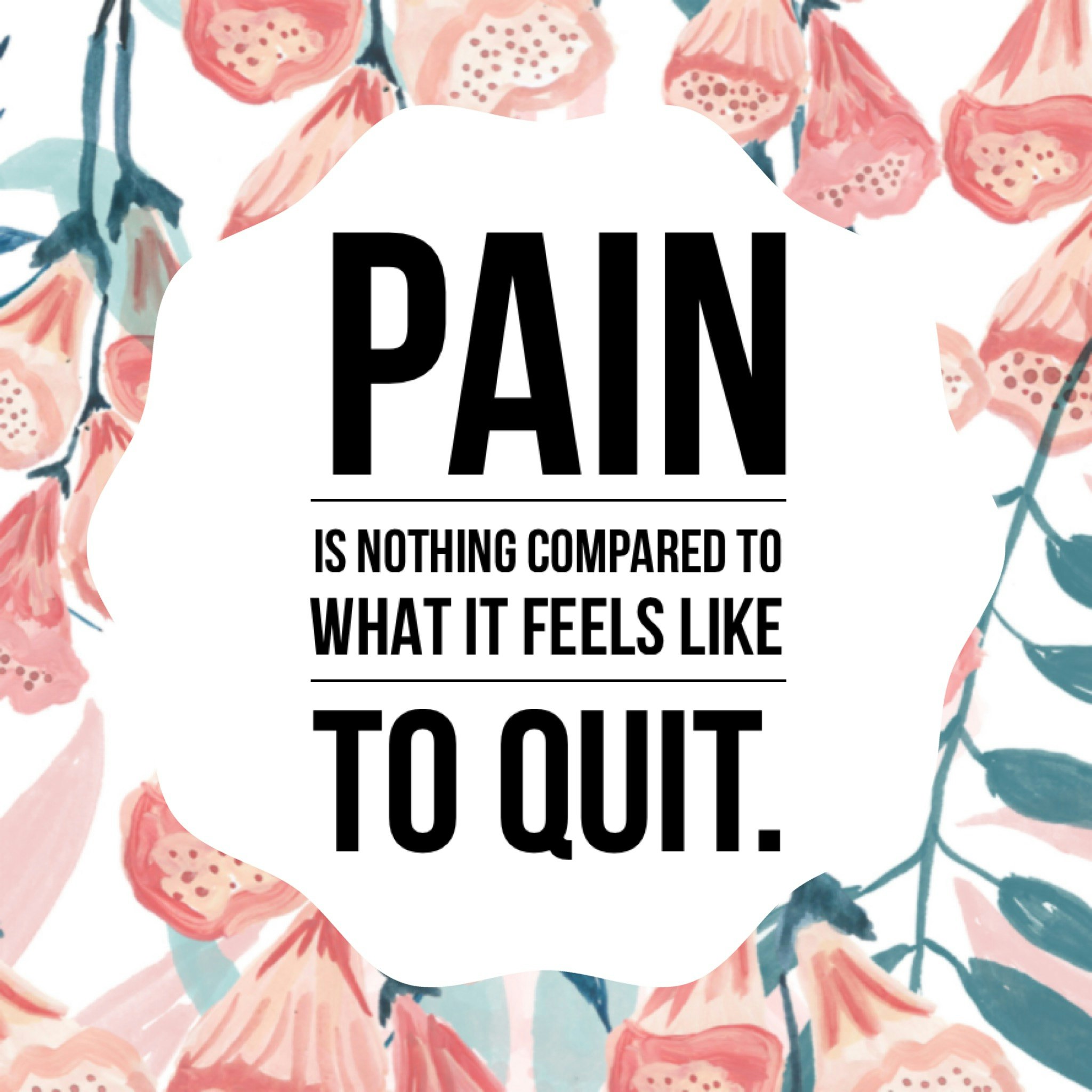 Typcas gallery image