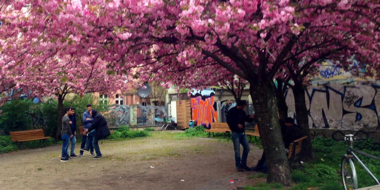 Emin Henri Mahrt cover