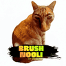 Brush Nooli