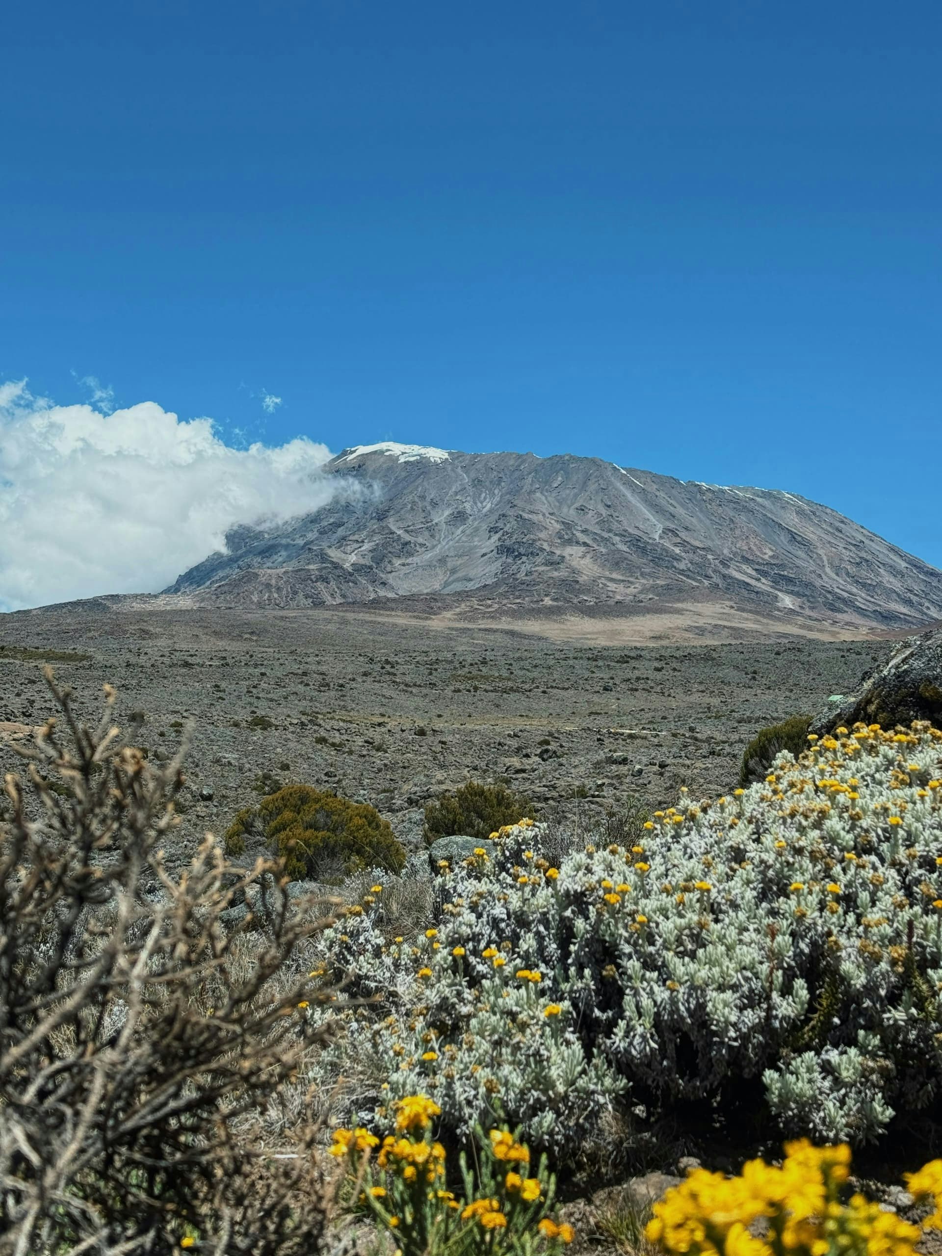 Africantrust Safari gallery image