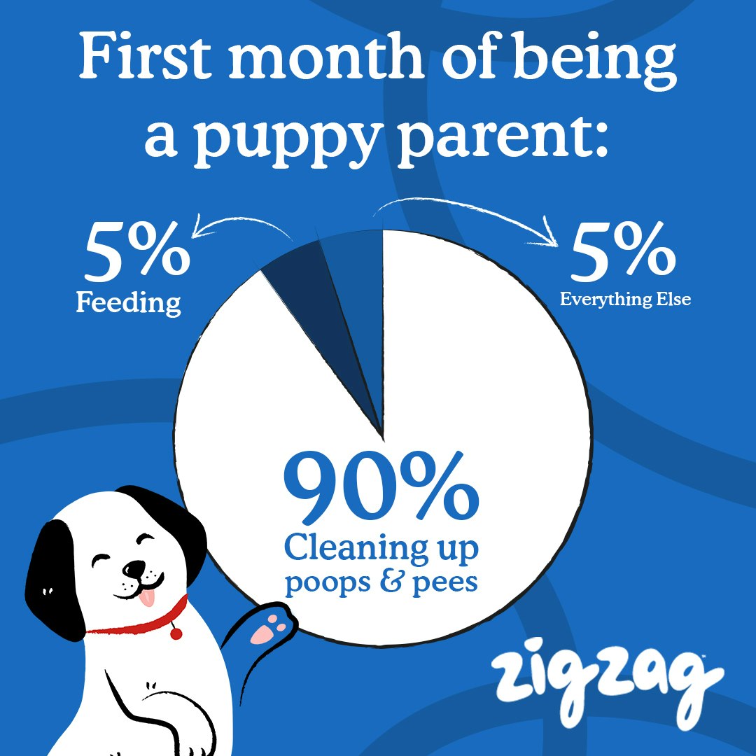 Zigzag Puppy Training App gallery image