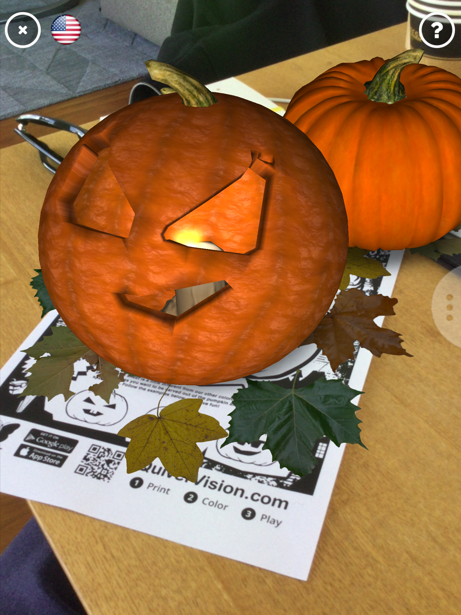 Quiver Pumpkins gallery image