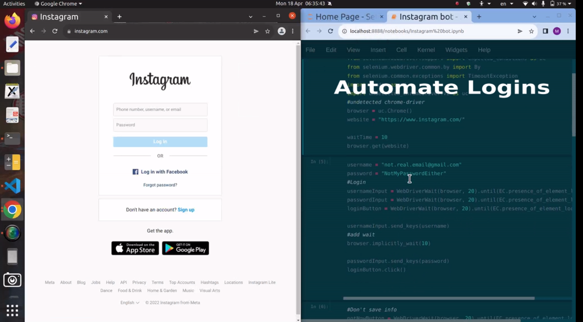 Zuckerberg's Cat gallery image