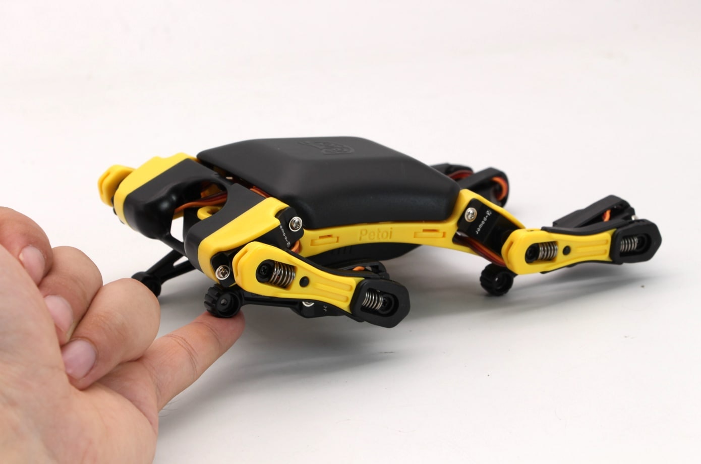 Bittle gallery image