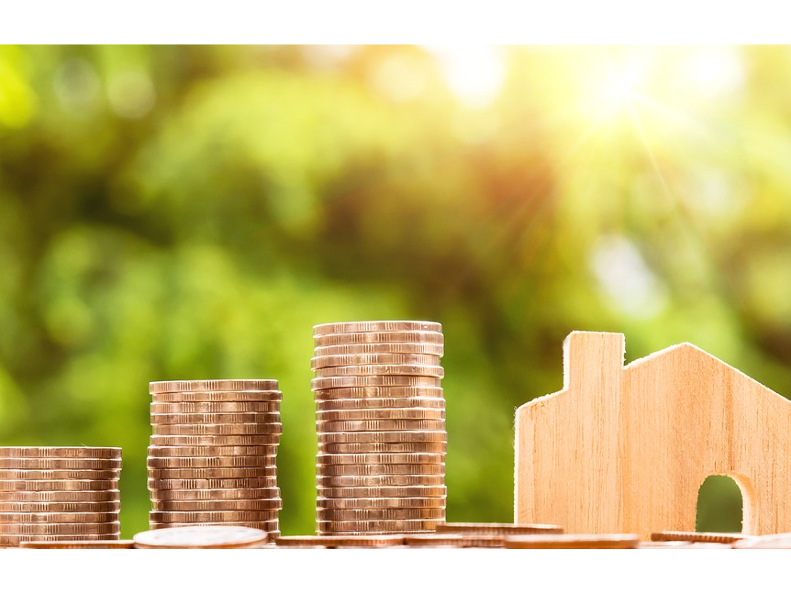 Loyaltyplex gallery image