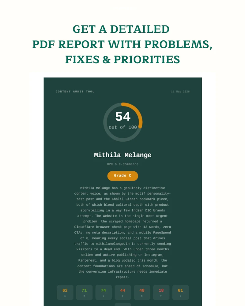 Contentphilic - Content Audit Tool screenshot 2