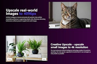 image Upscaling gallery image