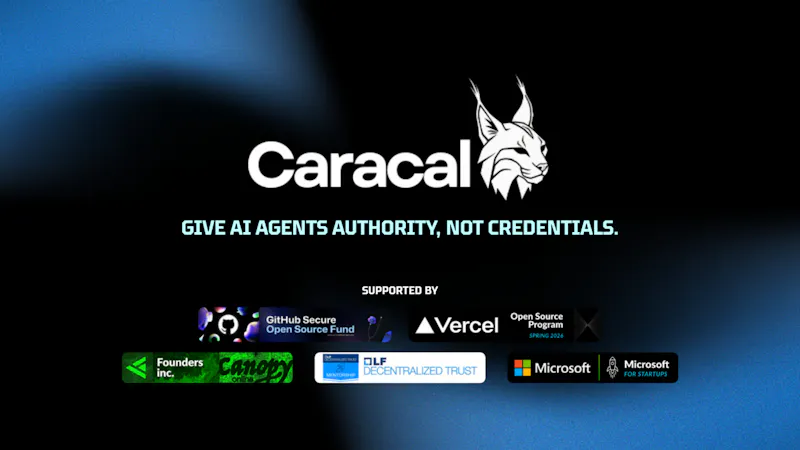 Caracal screenshot 2