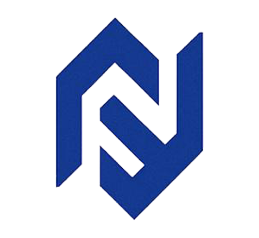 Nel Professional - Product Hunt launch logo and brand identity