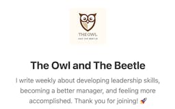 The Owl and The Beetle media 1