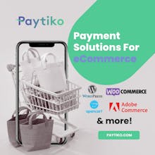 Paytiko gallery image