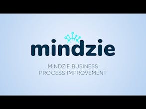 mindzie gallery image