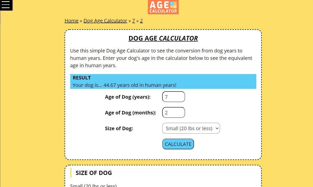 Age Calculator gallery image