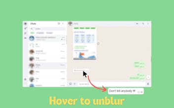 WhatsApp Privacy Extension gallery image