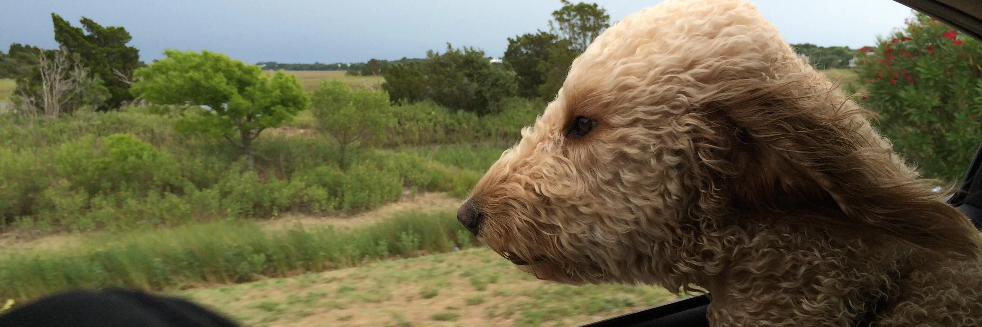 Landon Bennett cover