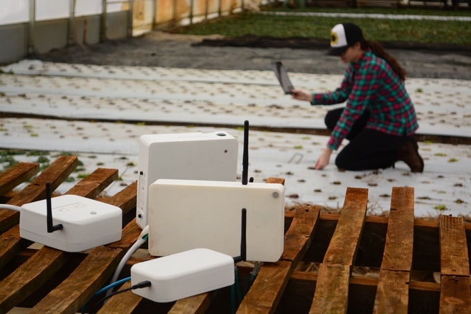 Motorleaf gallery image