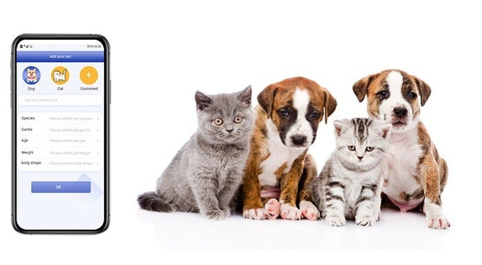 when is national pet day 2021 gallery image