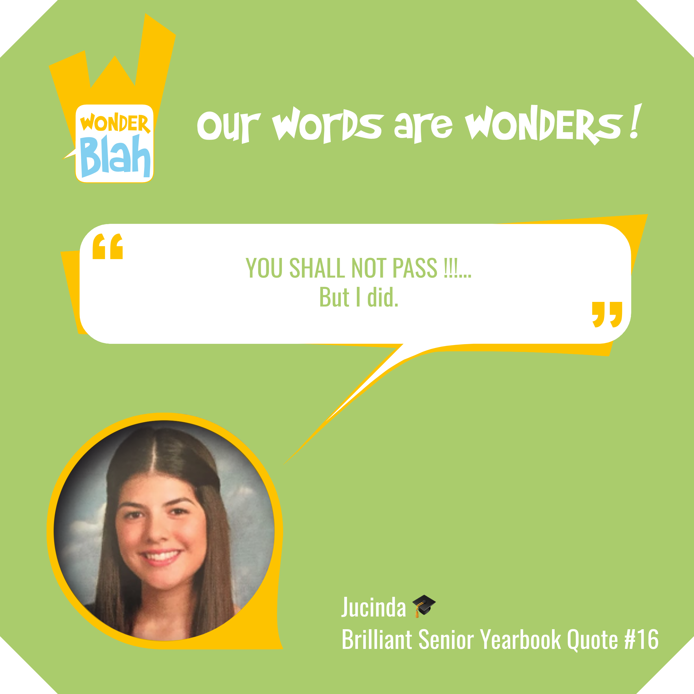 WonderBlah gallery image