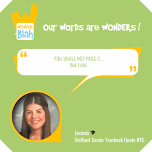 WonderBlah gallery image