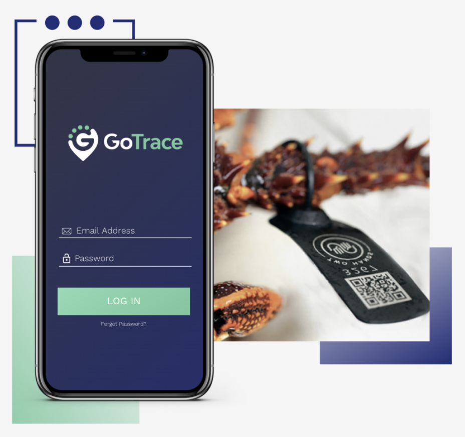 GoTrace gallery image